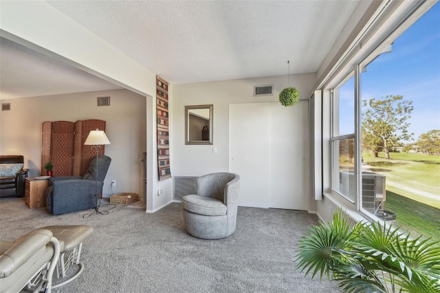 living room featuring carpet and a textured ceiling