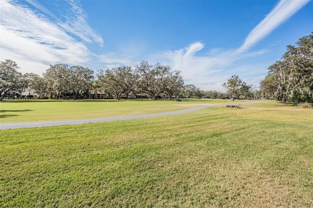 view of property's community with a yard