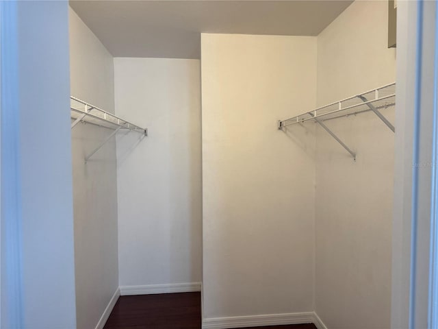 walk in closet featuring dark hardwood / wood-style floors