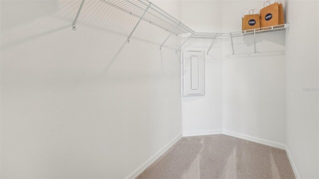 32660 Rustic Rise Rd, San Antonio, FL 33576 - photo 20