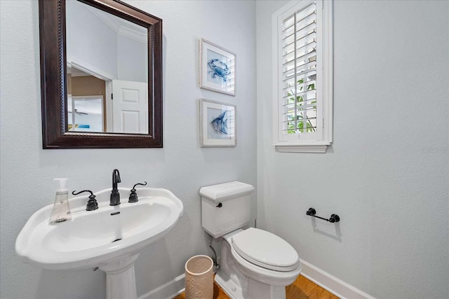 bathroom featuring sink, hardwood / wood-style floors, and toilet