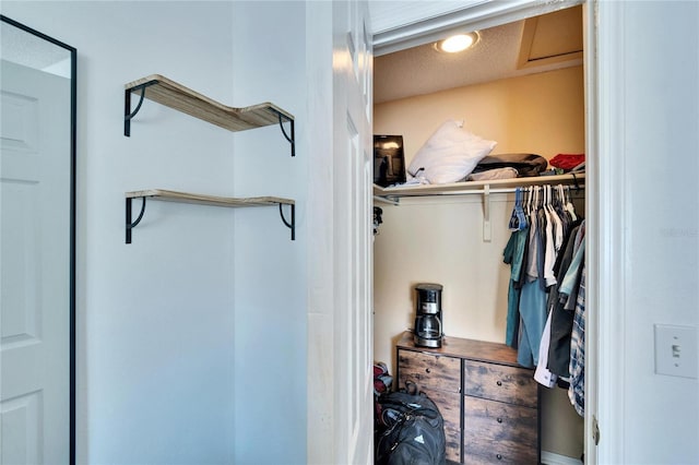 view of walk in closet