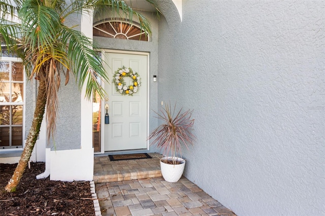1600 Gray Bark Dr, Oldsmar, FL 34677 - doorway to property with stucco siding