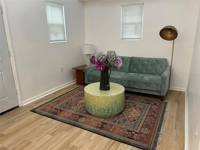 living room featuring wood-type flooring