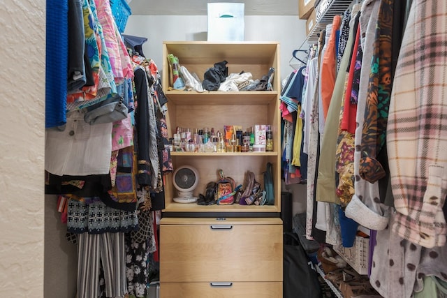 view of spacious closet