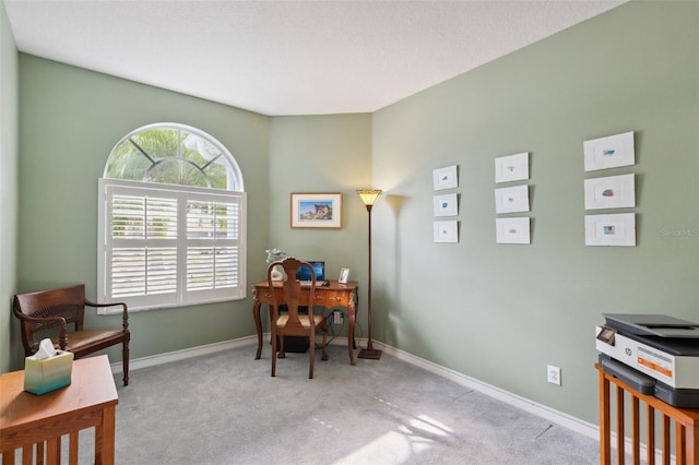 home office with light carpet