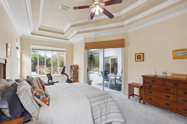 carpeted bedroom featuring a raised ceiling, access to exterior, and multiple windows