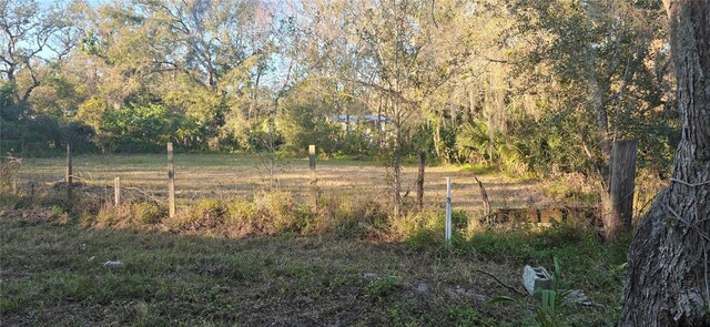 4501 Clewis Ave, Tampa, FL 33610