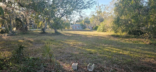 4501 Clewis Ave, Tampa, FL 33610