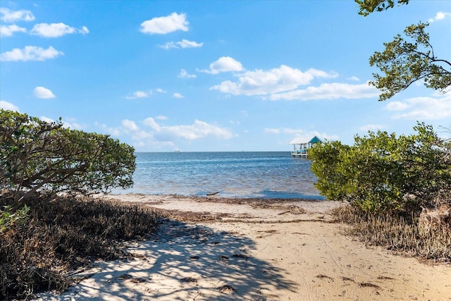 view of water feature with a beach view