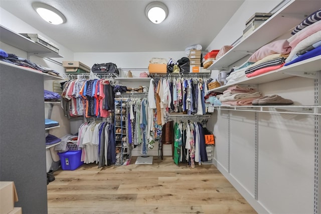 spacious closet with light hardwood / wood-style flooring