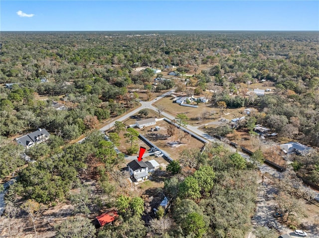 bird's eye view