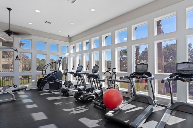 workout area with plenty of natural light