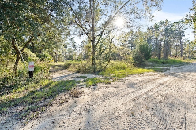 Listing photo 2 for Albany Rd, Weeki Wachee FL 34614