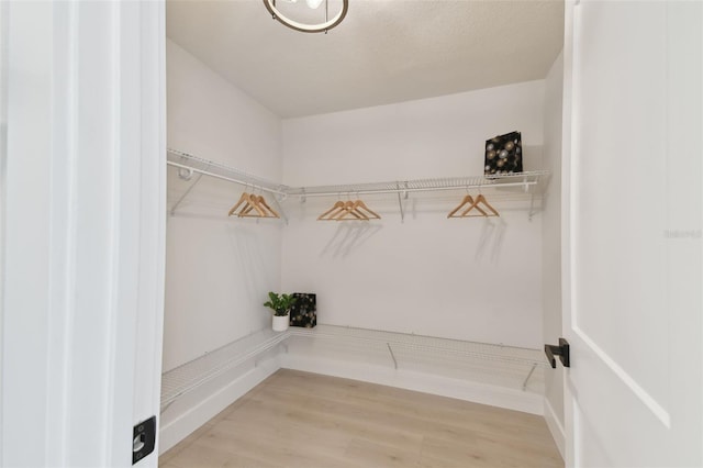 spacious closet featuring hardwood / wood-style floors