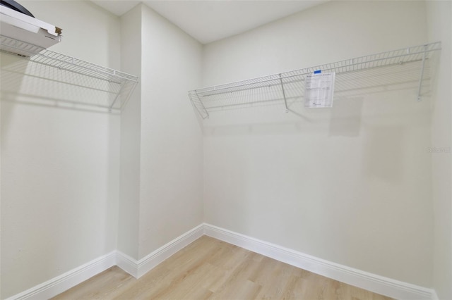 walk in closet featuring hardwood / wood-style flooring