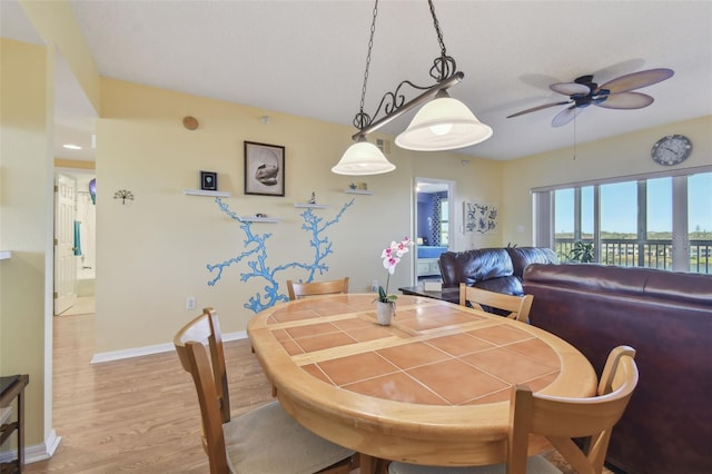 dining area with ceiling fan and light wood-type flooring