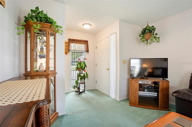 interior space with a textured ceiling and carpet