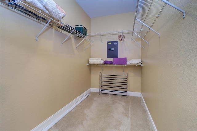 2749 Via Cipriani Unit 1010B, Clearwater, FL 33764 - photo 23