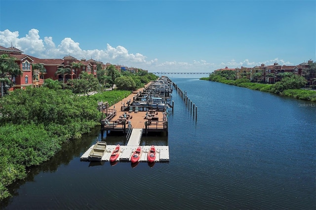 dock area with a water view