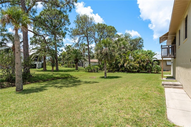 4514 Dewey Dr, New Port Richey, FL 34652 - view of green lawn