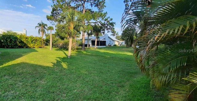 4514 Dewey Dr, New Port Richey, FL 34652 - view of grassy yard