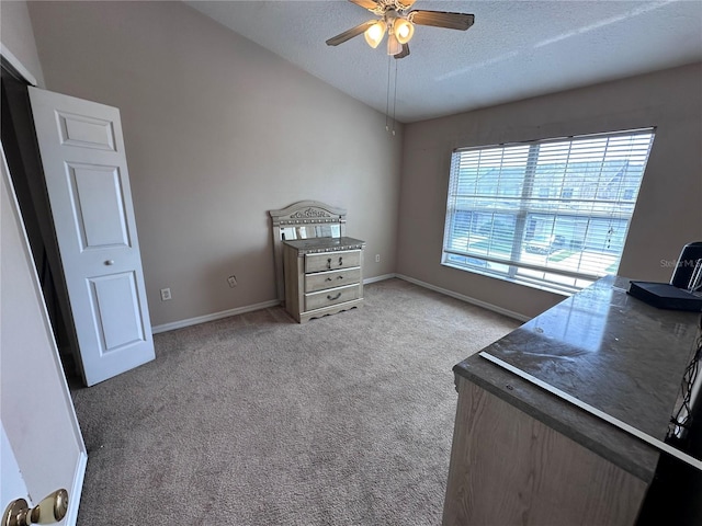 9822 Carlsdale Dr, Riverview, FL 33578 - photo 14