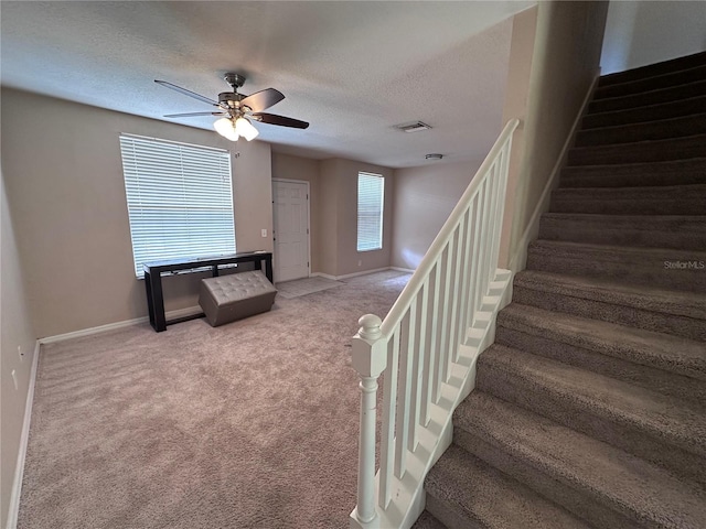 9822 Carlsdale Dr, Riverview, FL 33578 - photo 12