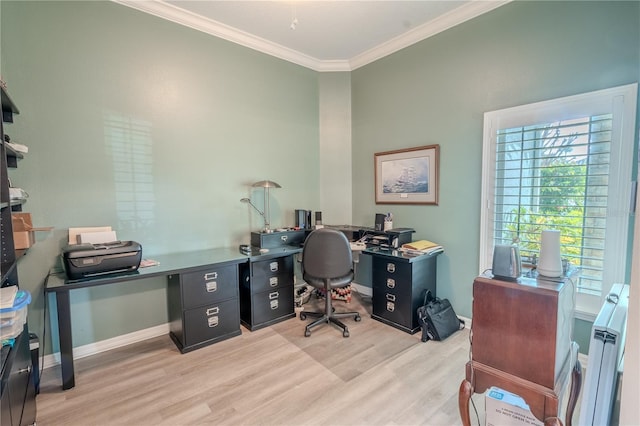 12113 Marblehead Dr, Tampa, FL 33626 - home office featuring crown molding, light wood-style flooring, and baseboards
