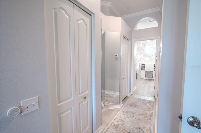 12113 Marblehead Dr, Tampa, FL 33626 - corridor featuring ornamental molding and light wood-type flooring