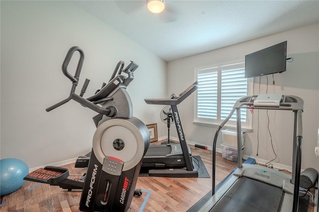 12113 Marblehead Dr, Tampa, FL 33626 - exercise area featuring wood finished floors and baseboards