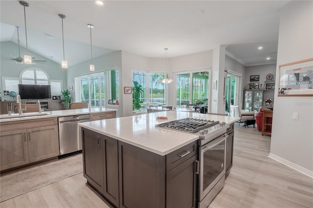 12113 Marblehead Dr, Tampa, FL 33626 - kitchen featuring appliances with stainless steel finishes, a sink, light countertops, light wood-style flooring, and healthy amount of natural light
