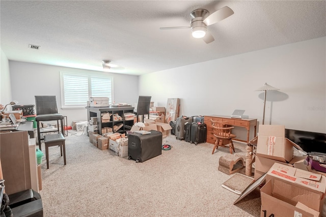 12113 Marblehead Dr, Tampa, FL 33626 - office space with carpet flooring, ceiling fan, and a textured ceiling