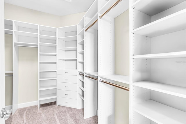 spacious closet featuring light carpet