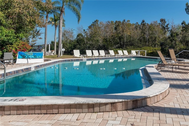 view of pool featuring a patio area