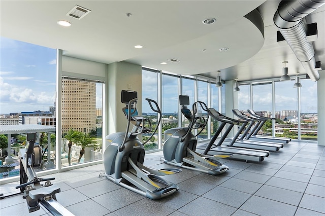 exercise room featuring a wall of windows