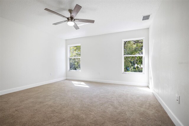 carpeted spare room with plenty of natural light, visible vents, and baseboards