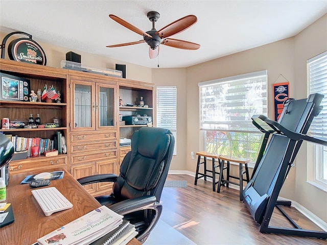 office area featuring a wealth of natural light, ceiling fan, and hardwood / wood-style flooring