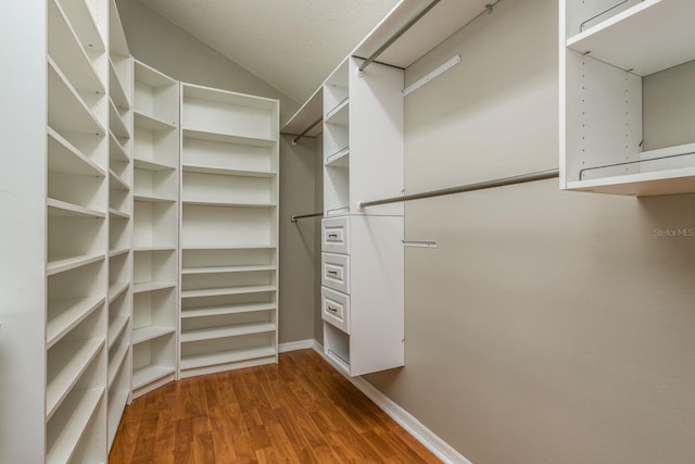 spacious closet featuring dark hardwood / wood-style flooring