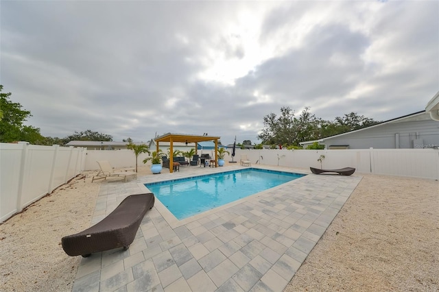 view of pool with a patio