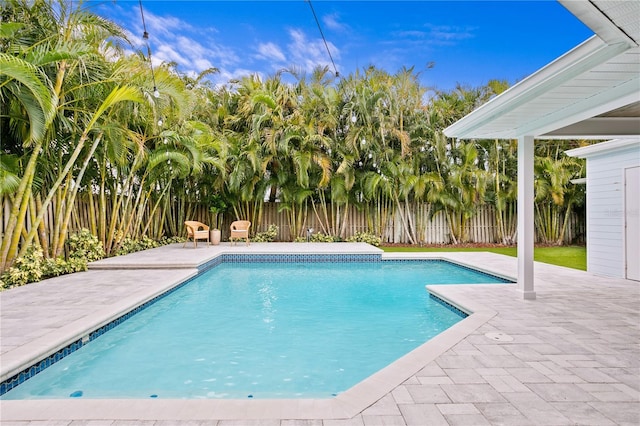 view of pool with a patio area