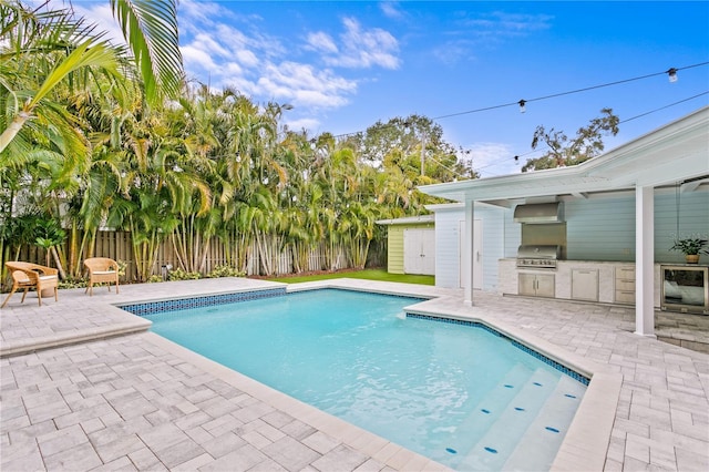 view of pool with a patio area, grilling area, and area for grilling