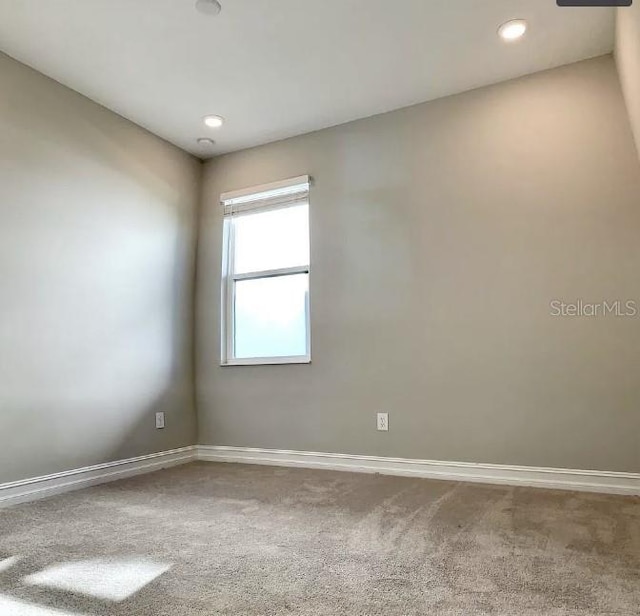 spare room with carpet