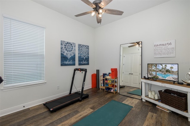 workout area featuring ceiling fan and dark hardwood / wood-style flooring