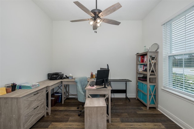 office space with a wealth of natural light, ceiling fan, and dark wood-type flooring