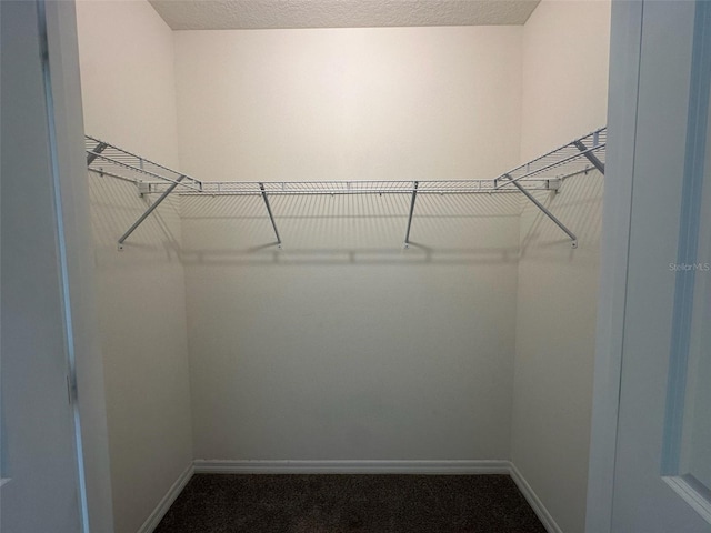 spacious closet with carpet