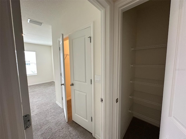 hallway with carpet floors and a textured ceiling