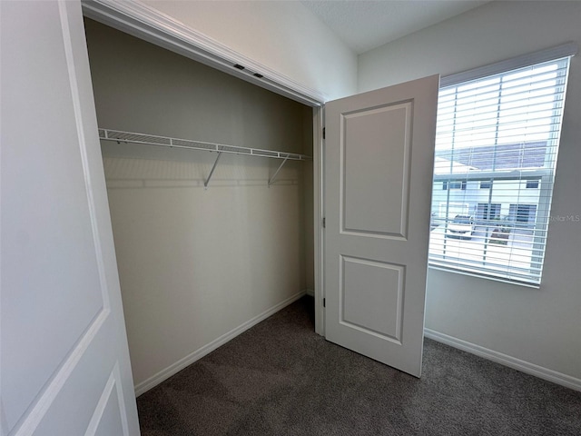 view of closet