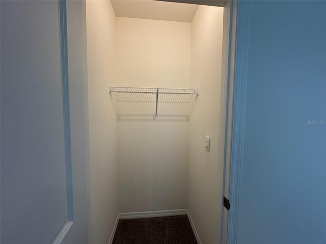 spacious closet featuring carpet flooring