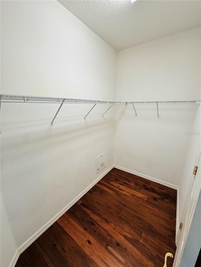 walk in closet featuring dark hardwood / wood-style floors